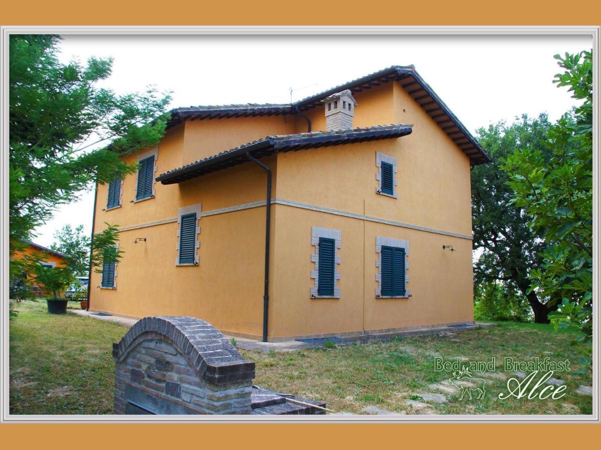 B&B Alce San Severino Marche Exterior foto